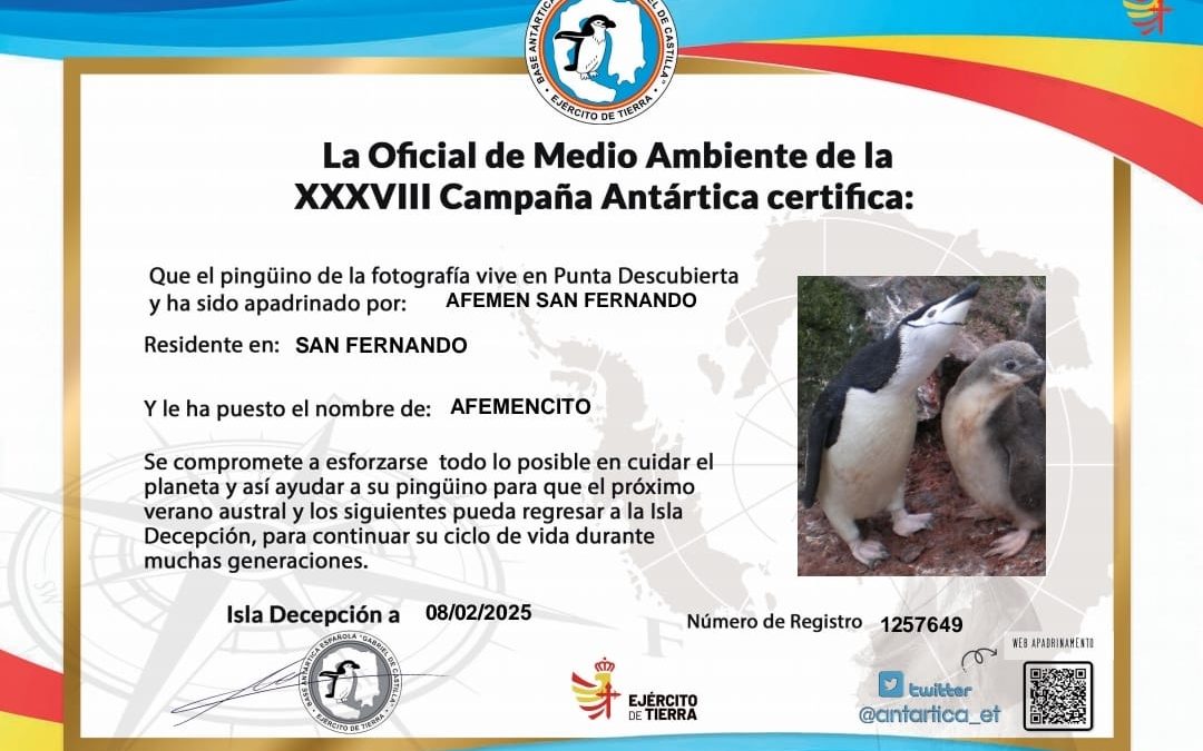AFEMENCITO, EL PINGÜINO APADRINADO POR AFEMEN