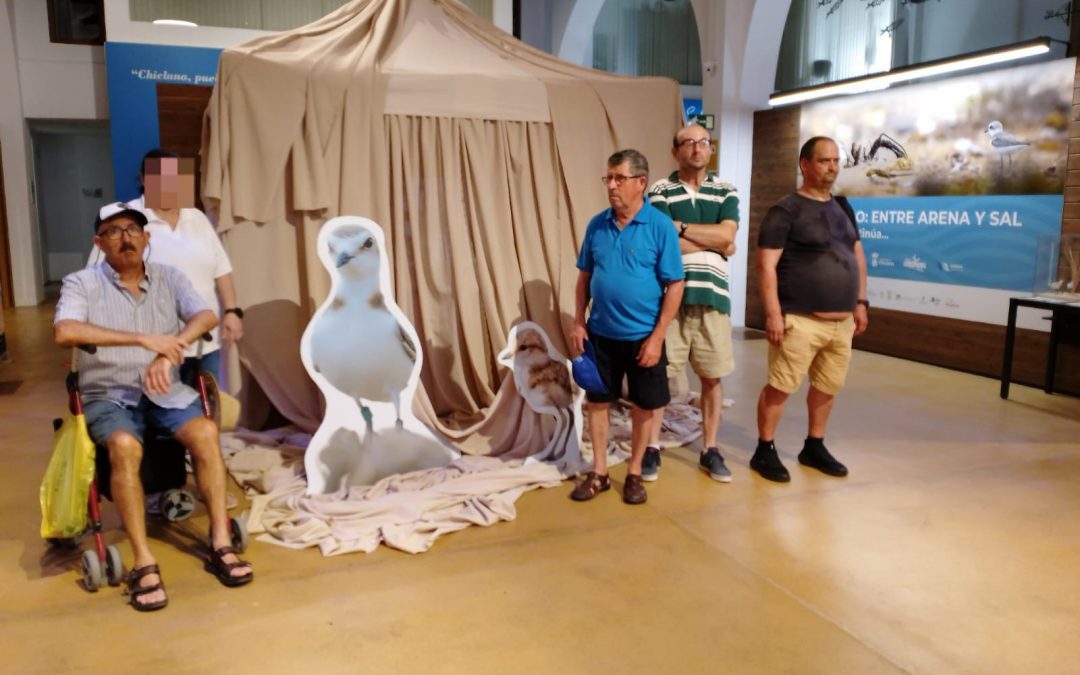 AFEMEN SE SUMA A LA PROTECCIÓN DEL CHORLITEJO PATINEGRO EN EL LITORAL GADITANO