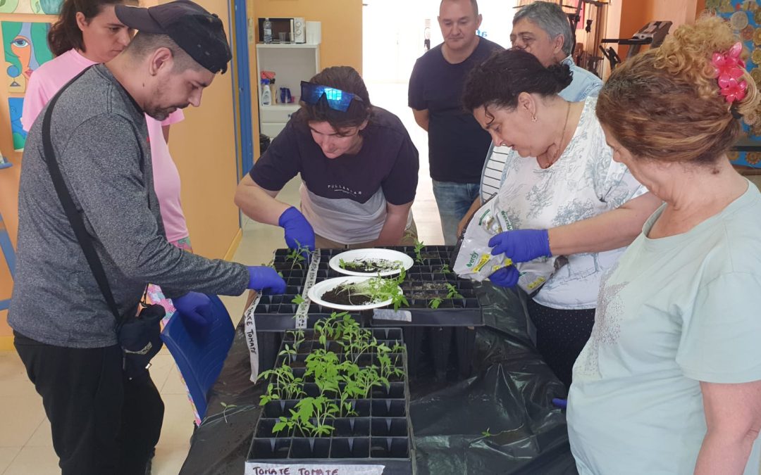AFEMEN ALGECIRAS FOMENTA EL BIENESTAR A TRAVÉS DE UN TALLER DE SIEMBRA