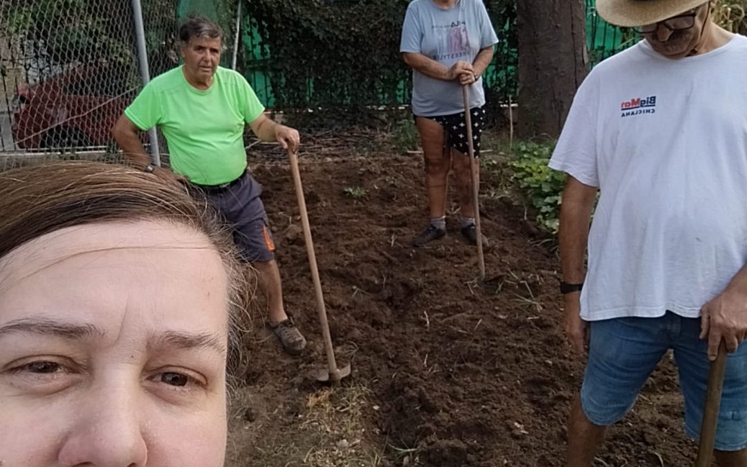 EL HUERTO DE AFEMEN CHICLANA SIGUE DANDO SUS FRUTOS GRACIAS AL ESFUERZO Y LA DEDICACIÓN