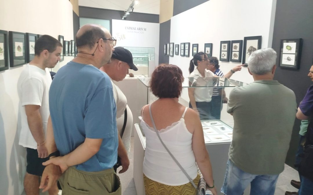 AFEMEN CHICLANA DISFRUTA DE UNA JORNADA CULTURAL EN EL MUSEO DE CHICLANA